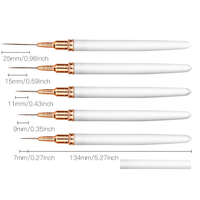 5pcs Nail Art Liner Brush Set
